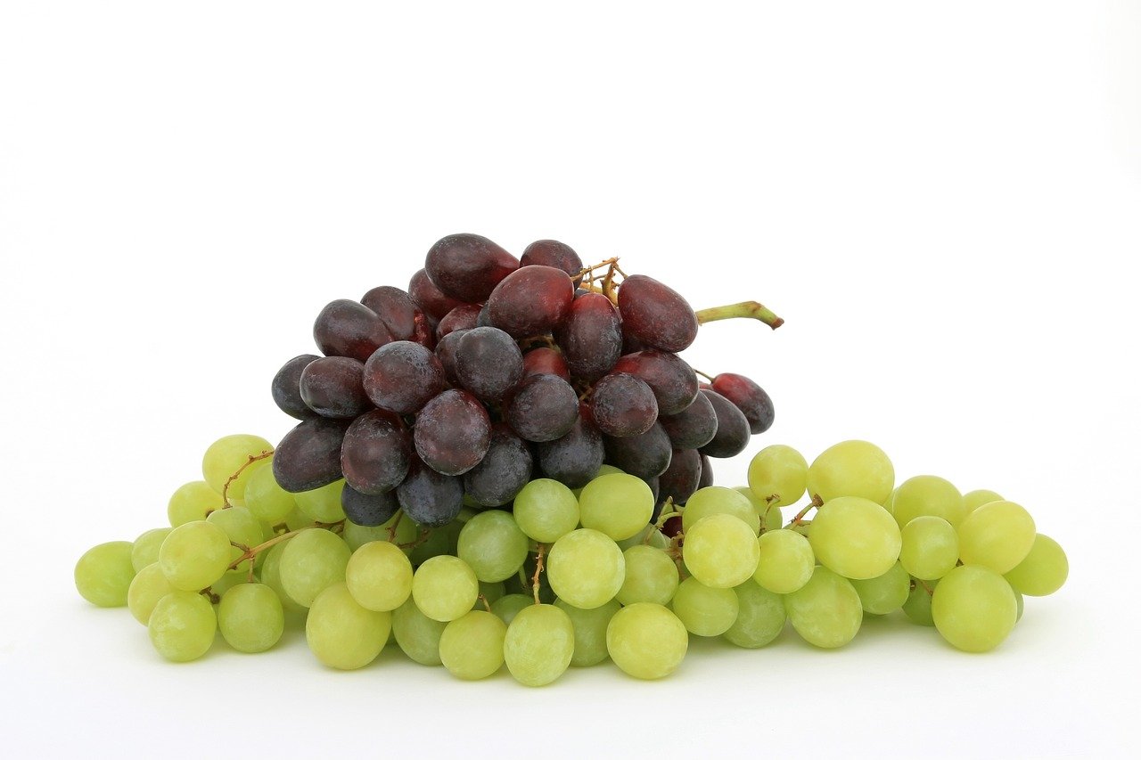 berry-1239425_1280
